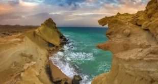 پارک ملی دریایی نایبند: سفر به آخرین بهشت بکر خلیج فارس