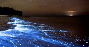 سفر به چابهار؛ کشف شگفتی‌های سواحل مکران از مریخ تا تالاب صورتی