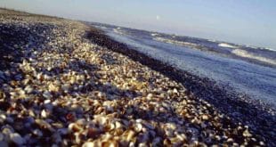 ساحل رامدشت رودسر؛ تلاقی رویایی کوه، جنگل و دریا