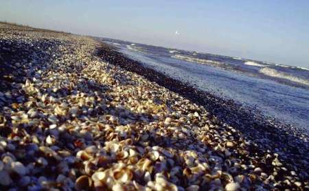 ساحل رامدشت رودسر؛ تلاقی رویایی کوه، جنگل و دریا