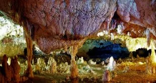 غار یاغی لوکا رامسر؛ پناهگاه مخفی در دل جنگل‌های دالخانی