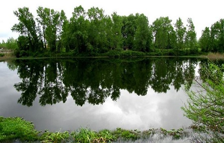 پارک جنگلی سراوان رشت؛ راهنمای کامل سفر و تفریحات خانوادگی