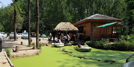 پارک جنگلی سراوان رشت؛ راهنمای کامل سفر و تفریحات خانوادگی