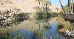 چشمه سبزپوشان هرمزگان؛ راهنمای کامل سفر و جاذبه‌های اطراف